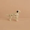 Ostheimer Dalmatian Dog