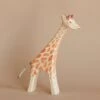 Ostheimer Giraffe - Running