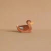 Ostheimer Duck, Swimming
