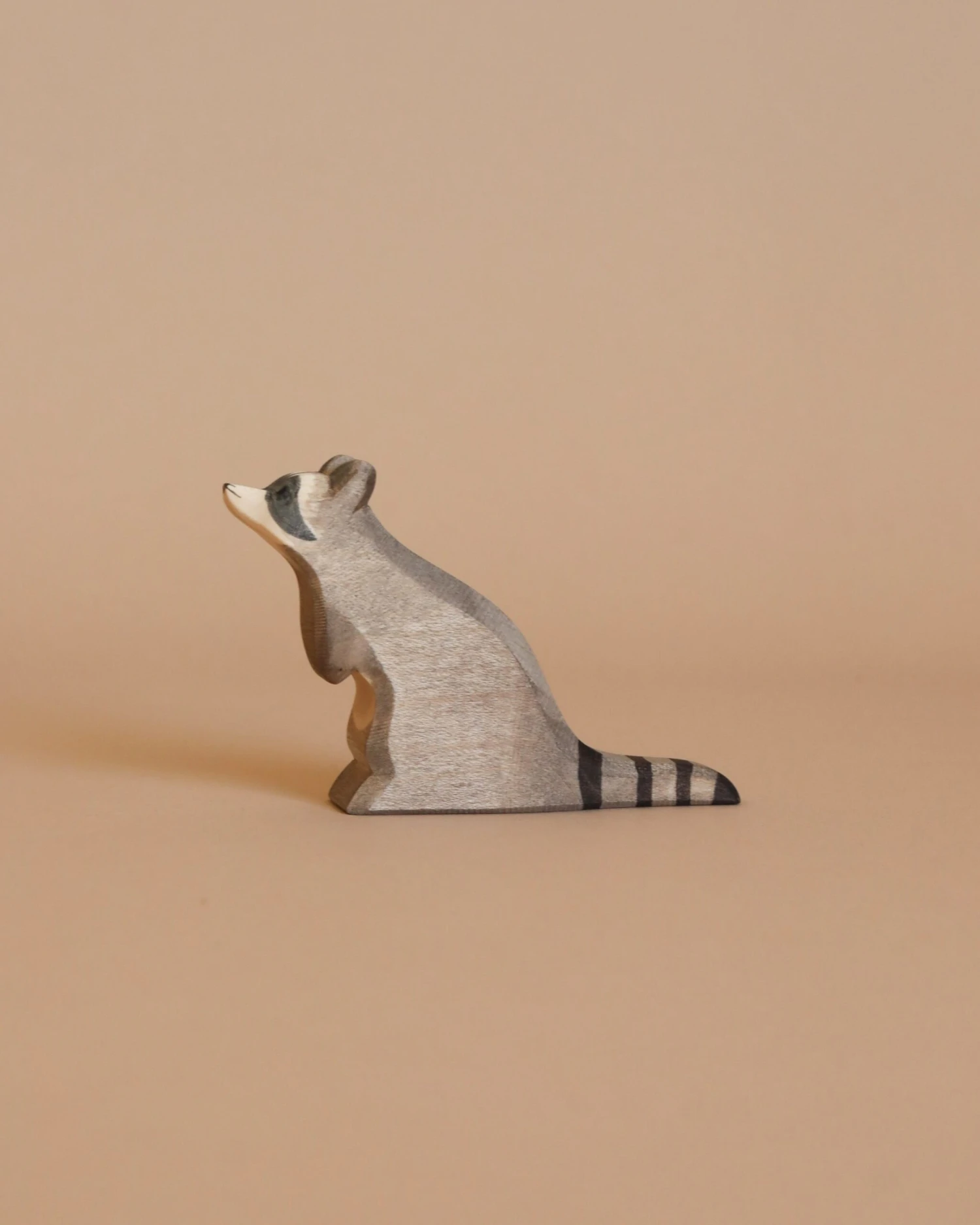 Ostheimer Raccoon - Sitting 1 Ostheimer Raccoon - Sitting