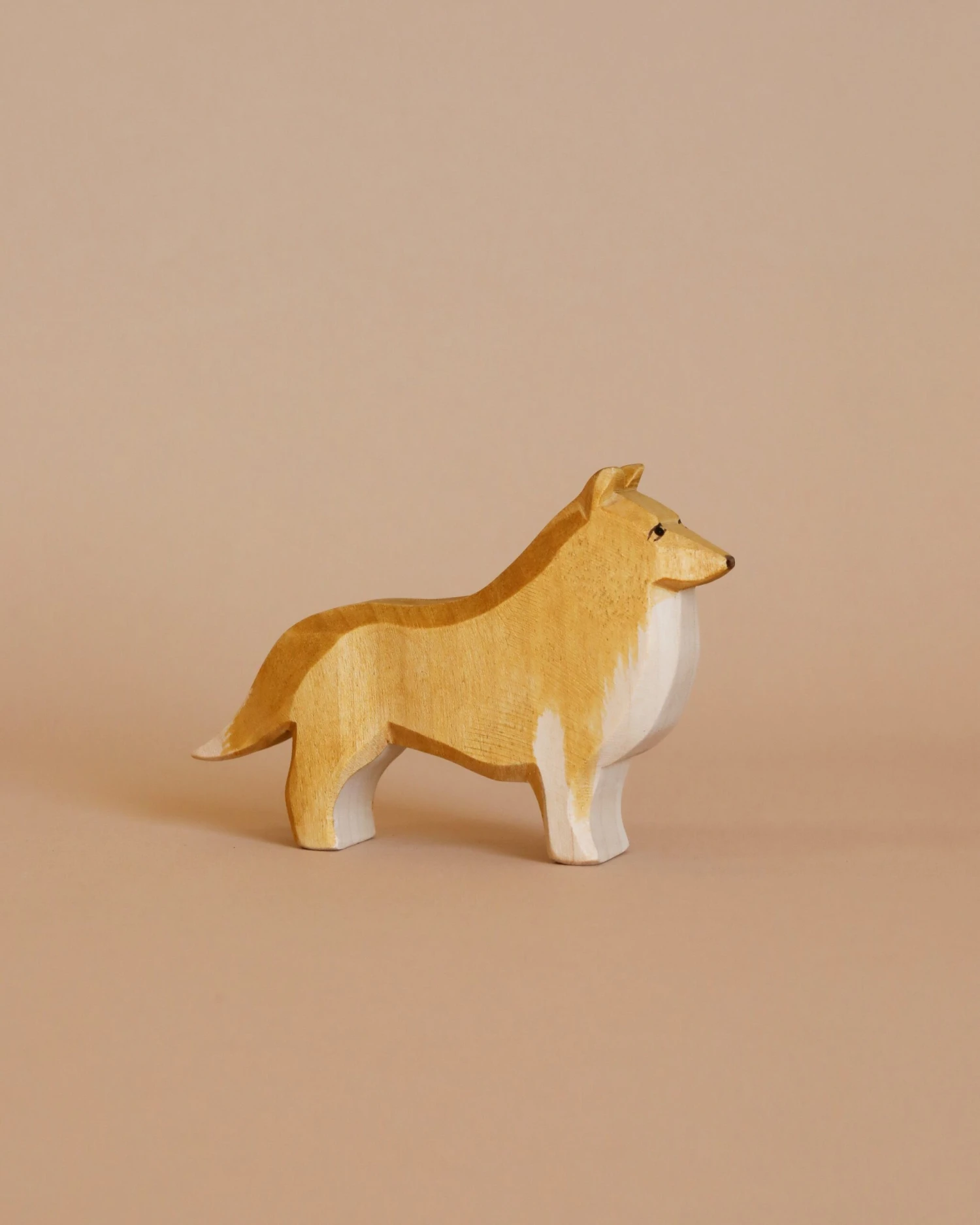 Ostheimer Collie Dog 1 Ostheimer Collie Dog