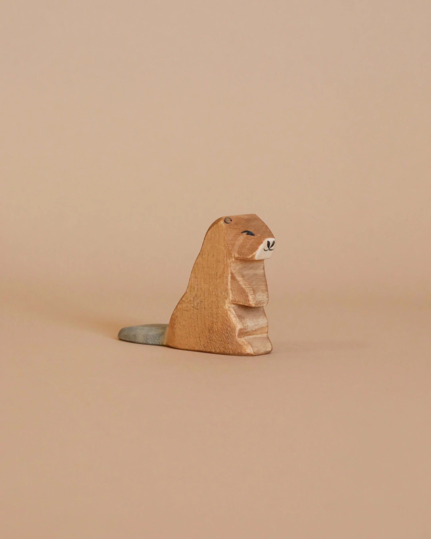 Ostheimer Beaver - Sitting 1 Ostheimer Beaver - Sitting