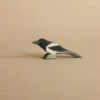 Ostheimer Magpie Bird
