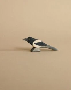 Ostheimer Magpie Bird